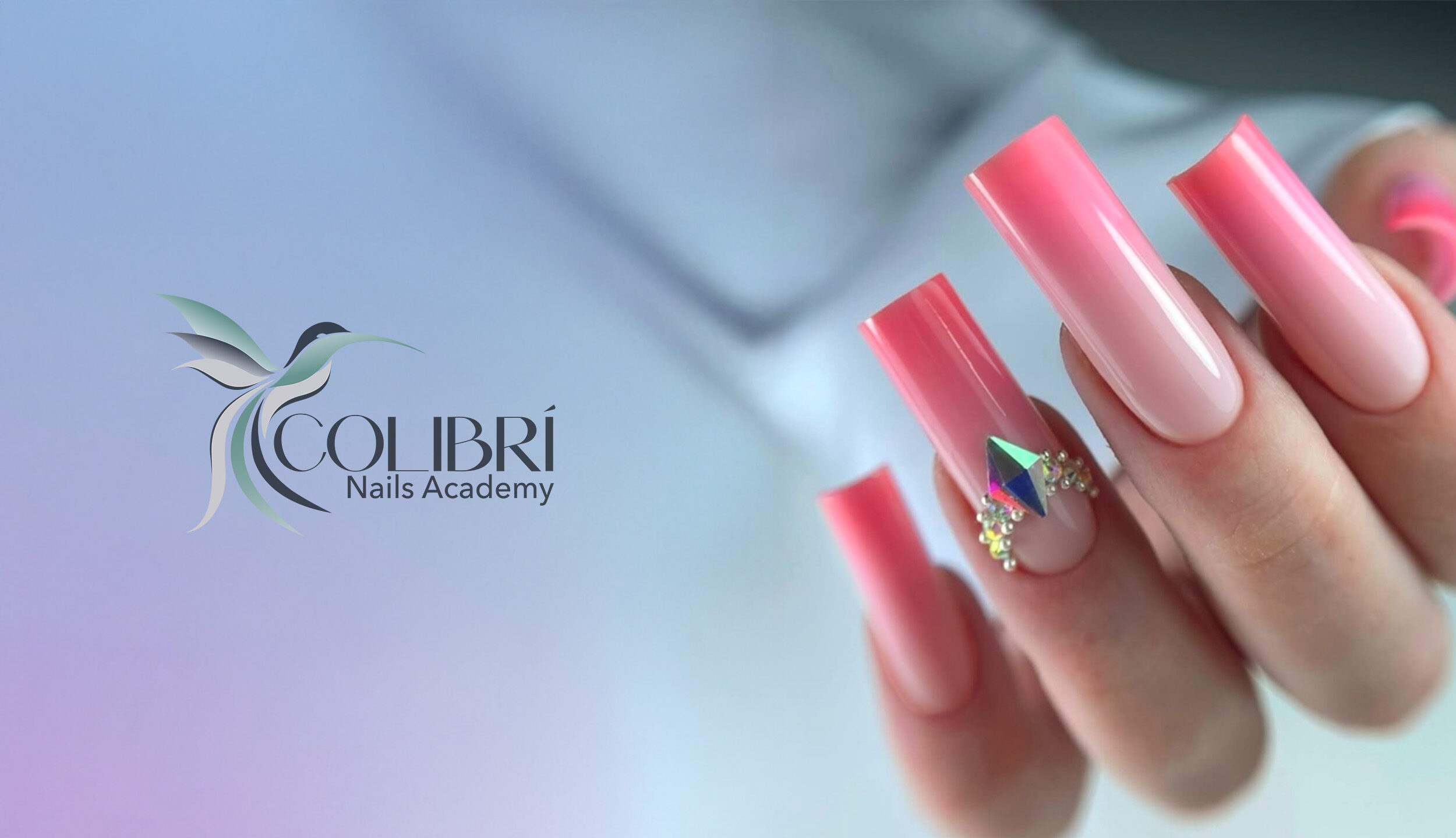 colibri acadeny corso 2D