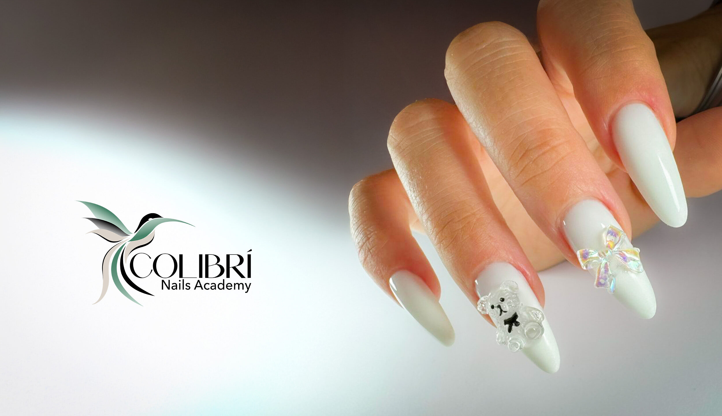 colibri academy corso 3D